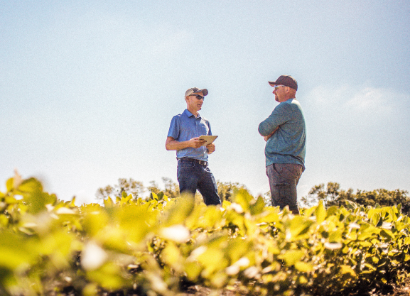 Two men standing in field