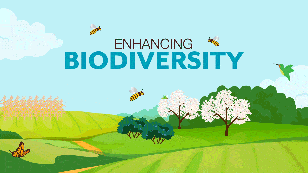 Animated graphic of bees, birds, and butterflies