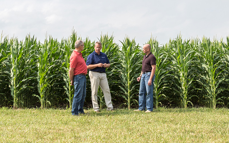 Men in front of corn