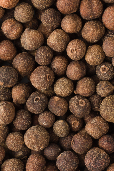Allspice