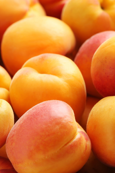 Apricot