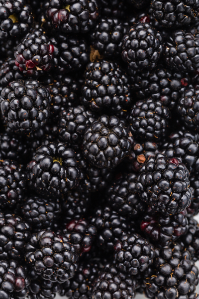 Blackberry