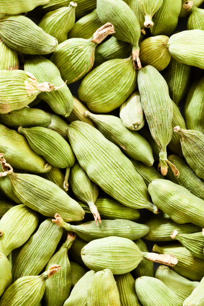 Cardamom