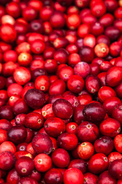 Cranberry