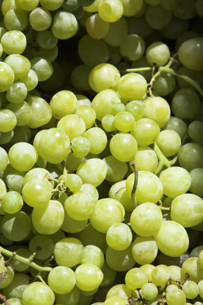Grape