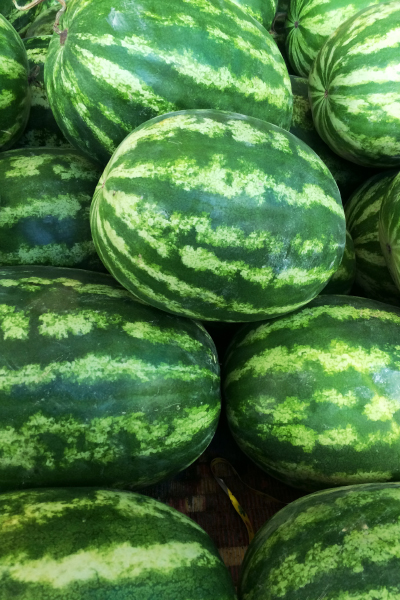 Melon