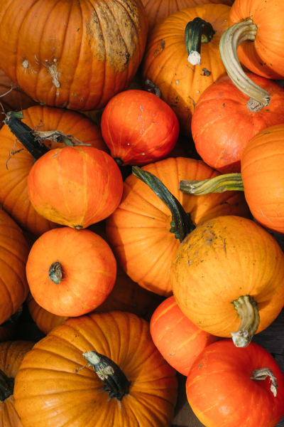 Pumpkin