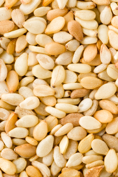 Sesame