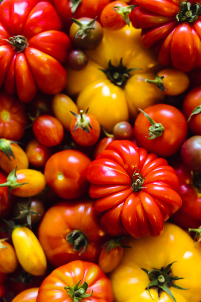 Tomato
