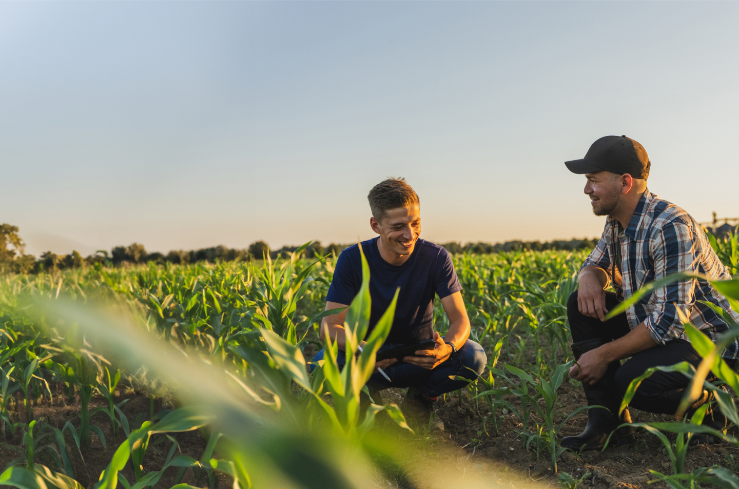 Two men squatting in a field