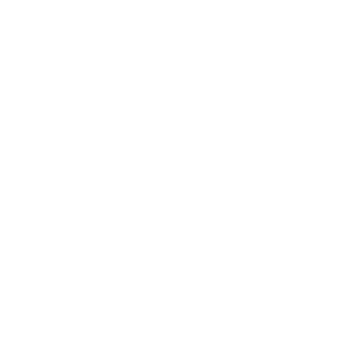 Globe Icon
