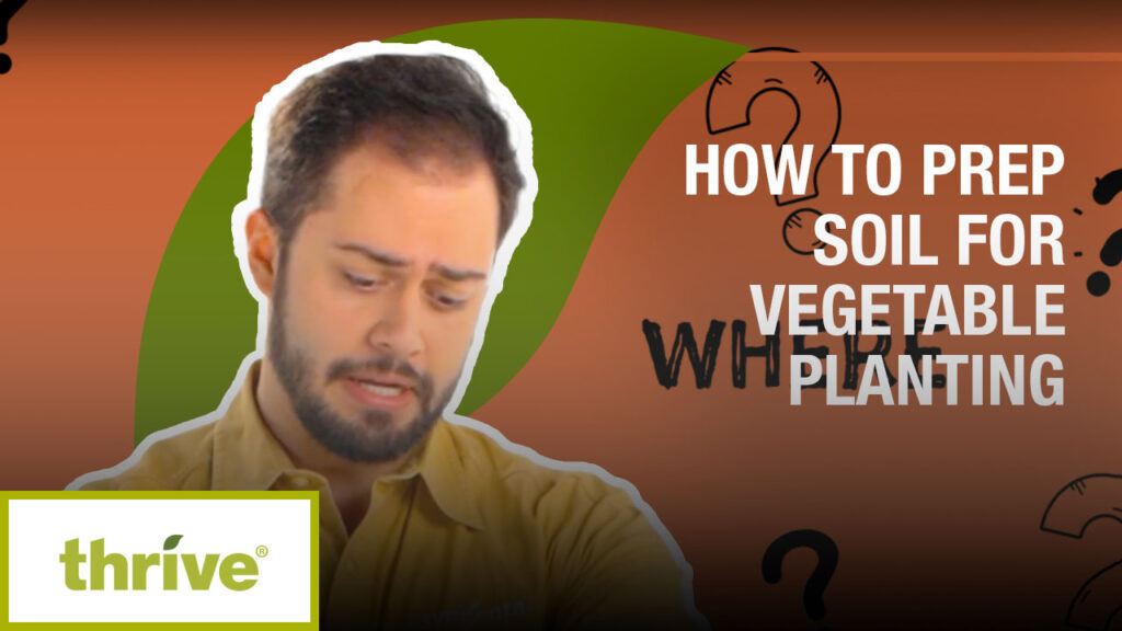 A man in a Syngenta shirt stands in front of a background with text that reads 'HOW TO PREP SOIL FOR VEGETABLE PLANTING